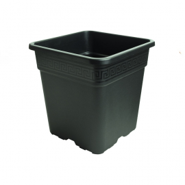vaso vega_greentown2